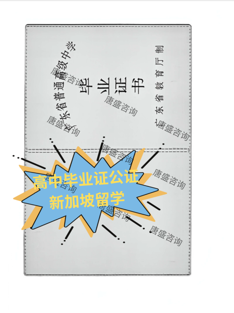 高中毕业证 新加坡留学